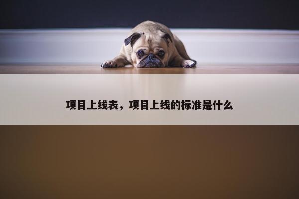 项目上线表，项目上线的标准是什么