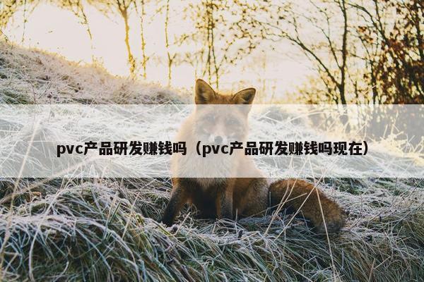 pvc产品研发赚钱吗（pvc产品研发赚钱吗现在）