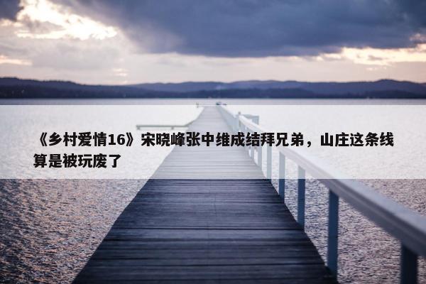 《乡村爱情16》宋晓峰张中维成结拜兄弟，山庄这条线算是被玩废了