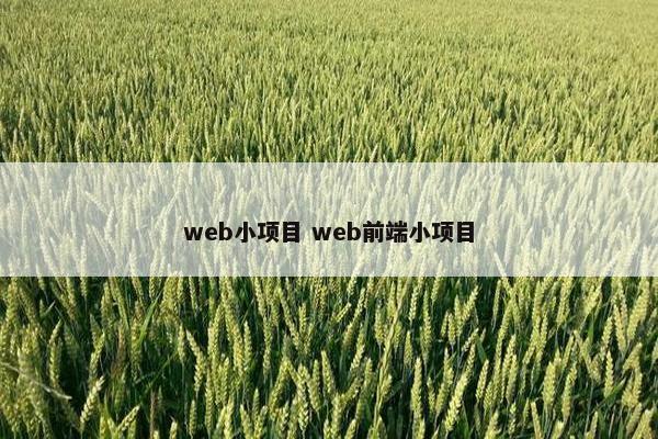 web小项目 web前端小项目