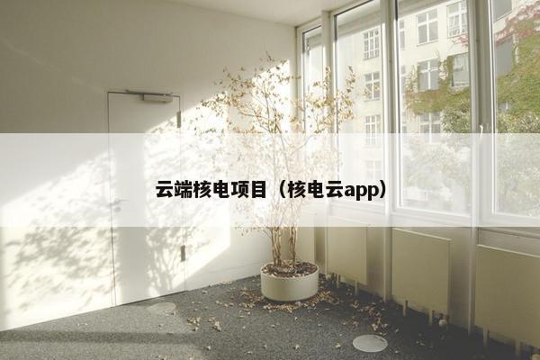 云端核电项目（核电云app）