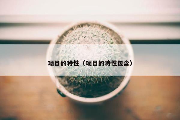 项目的特性（项目的特性包含）