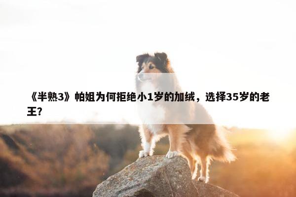 《半熟3》帕姐为何拒绝小1岁的加绒，选择35岁的老王？