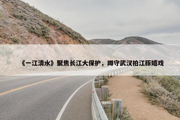 《一江清水》聚焦长江大保护，蹲守武汉拍江豚嬉戏