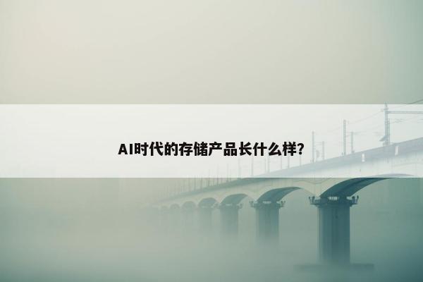 AI时代的存储产品长什么样？