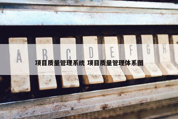 项目质量管理系统 项目质量管理体系图