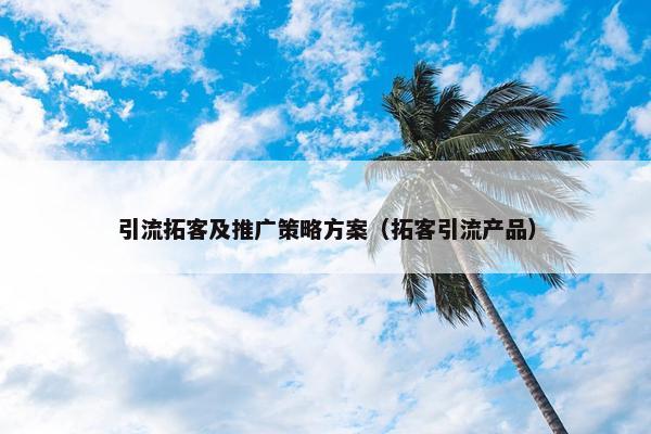 引流拓客及推广策略方案（拓客引流产品）