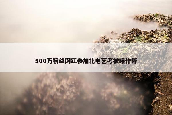 500万粉丝网红参加北电艺考被曝作弊