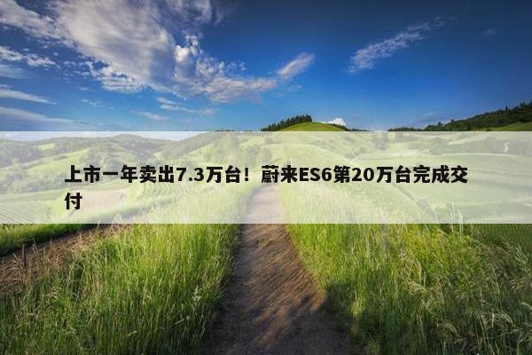 上市一年卖出7.3万台！蔚来ES6第20万台完成交付