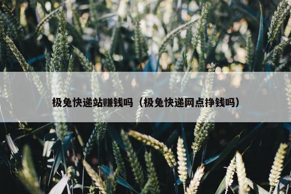 极兔快递站赚钱吗（极兔快递网点挣钱吗）