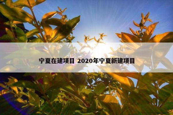 宁夏在建项目 2020年宁夏新建项目