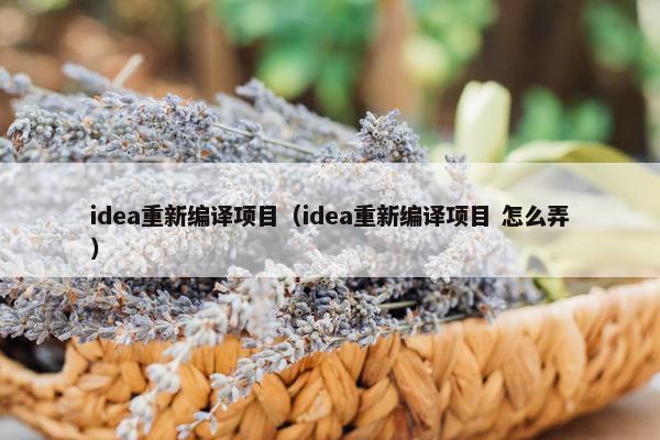 idea重新编译项目（idea重新编译项目 怎么弄）