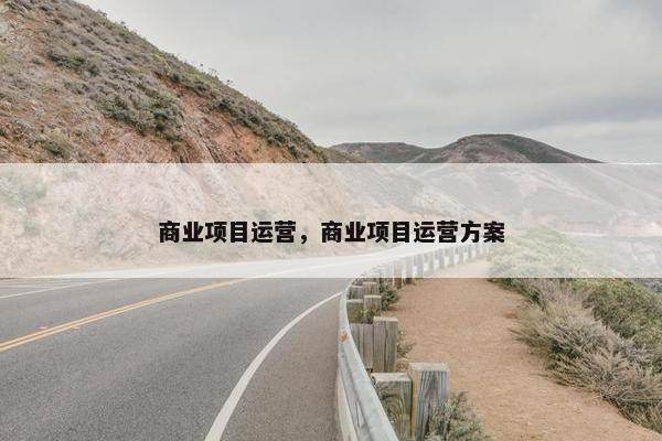 商业项目运营，商业项目运营方案