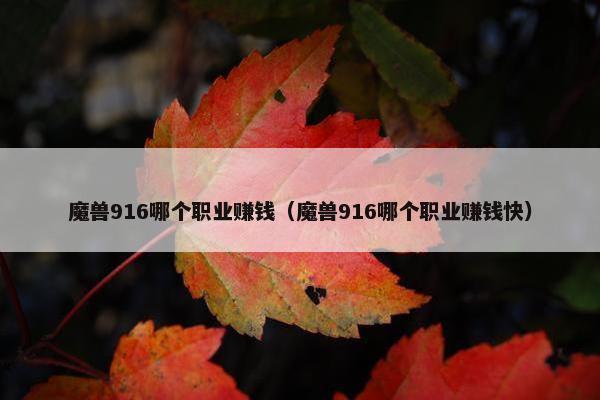 魔兽916哪个职业赚钱（魔兽916哪个职业赚钱快）