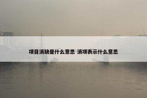 项目消缺是什么意思 消项表示什么意思