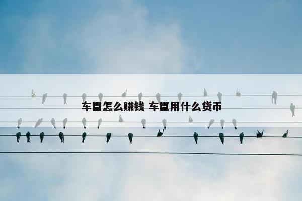 车臣怎么赚钱 车臣用什么货币