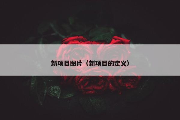 新项目图片（新项目的定义）