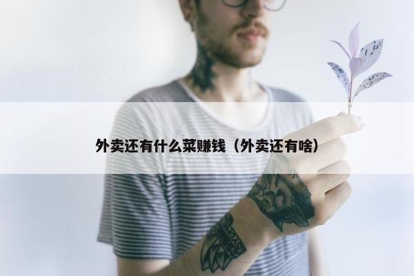 外卖还有什么菜赚钱（外卖还有啥）