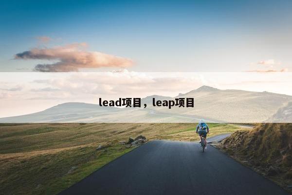 lead项目，leap项目