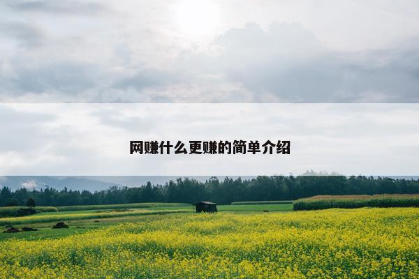 网赚什么更赚的简单介绍