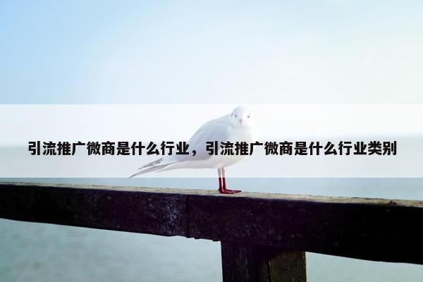 引流推广微商是什么行业，引流推广微商是什么行业类别