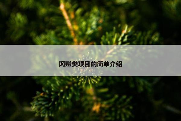 网赚类项目的简单介绍