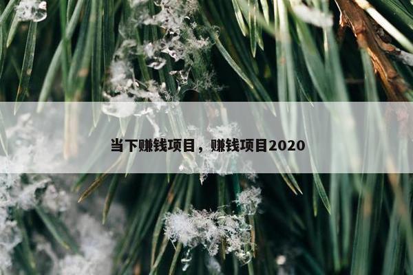 当下赚钱项目，赚钱项目2020