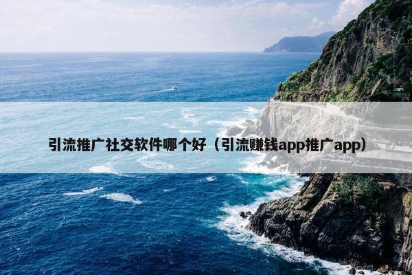 引流推广社交软件哪个好（引流赚钱app推广app）