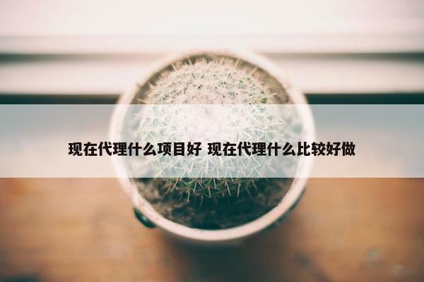 现在代理什么项目好 现在代理什么比较好做