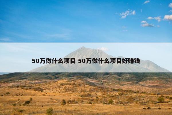 50万做什么项目 50万做什么项目好赚钱