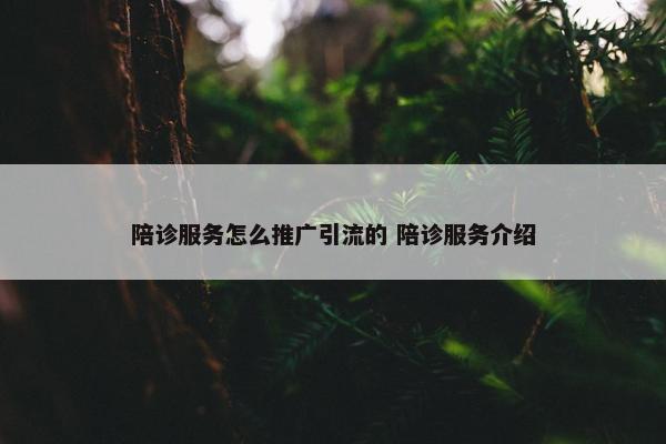 陪诊服务怎么推广引流的 陪诊服务介绍