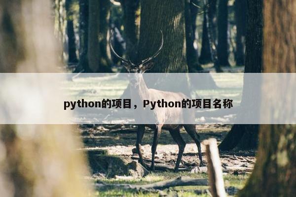 python的项目，Python的项目名称