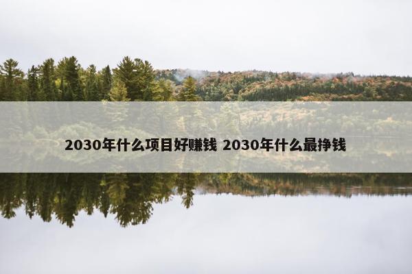 2030年什么项目好赚钱 2030年什么最挣钱