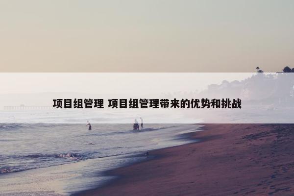 项目组管理 项目组管理带来的优势和挑战