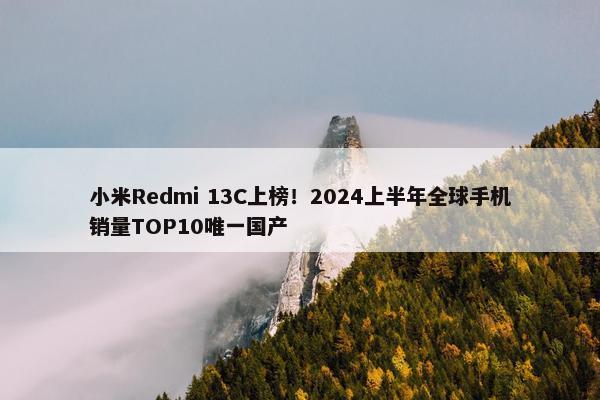 小米Redmi 13C上榜！2024上半年全球手机销量TOP10唯一国产