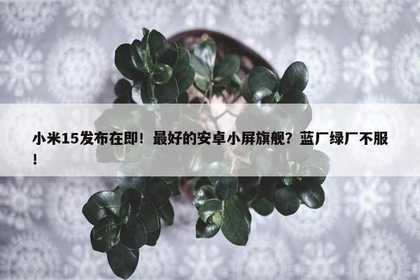 小米15发布在即！最好的安卓小屏旗舰？蓝厂绿厂不服！