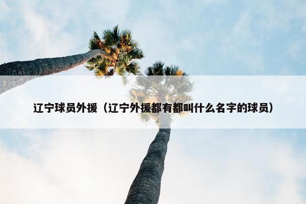 辽宁球员外援（辽宁外援都有都叫什么名字的球员）