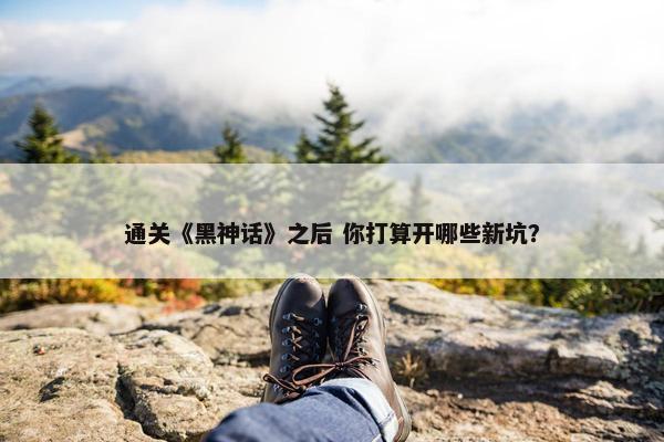 通关《黑神话》之后 你打算开哪些新坑？