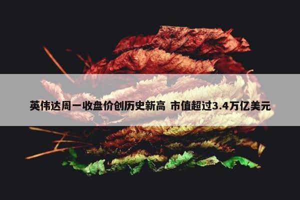 英伟达周一收盘价创历史新高 市值超过3.4万亿美元