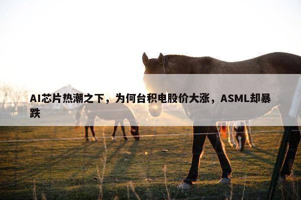 AI芯片热潮之下，为何台积电股价大涨，ASML却暴跌