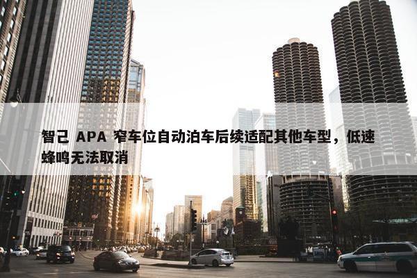 智己 APA 窄车位自动泊车后续适配其他车型，低速蜂鸣无法取消