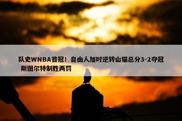 队史WNBA首冠！自由人加时逆转山猫总分3-2夺冠 斯图尔特制胜两罚