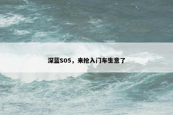 深蓝S05，来抢入门车生意了