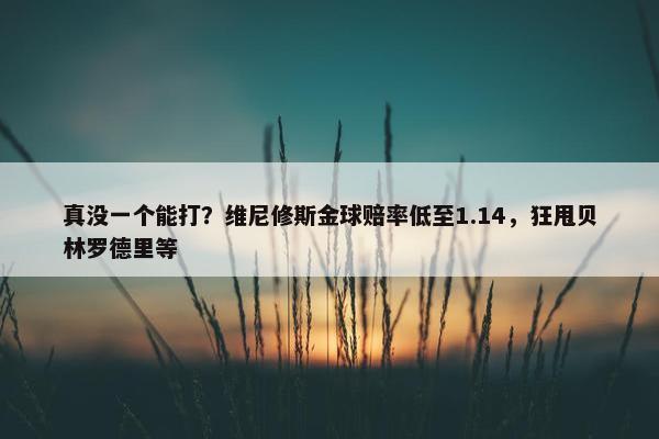 真没一个能打？维尼修斯金球赔率低至1.14，狂甩贝林罗德里等